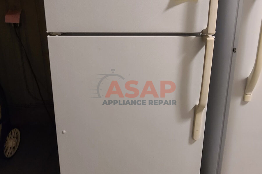 Fisher and Paykel Fridge Repair Services