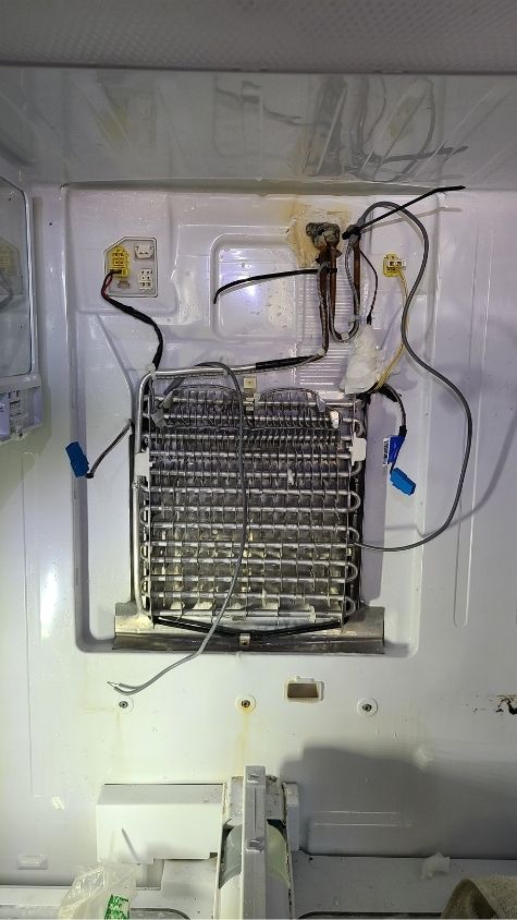 fridge repair abbotsford