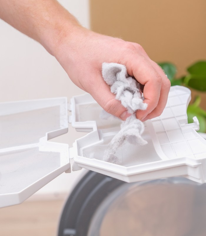 dryer lint removal