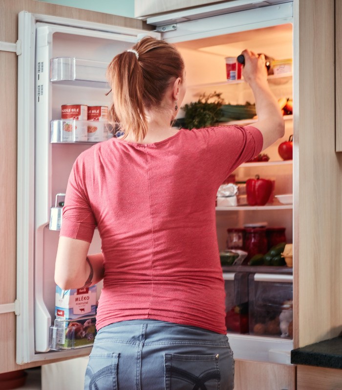 fridge maintenance