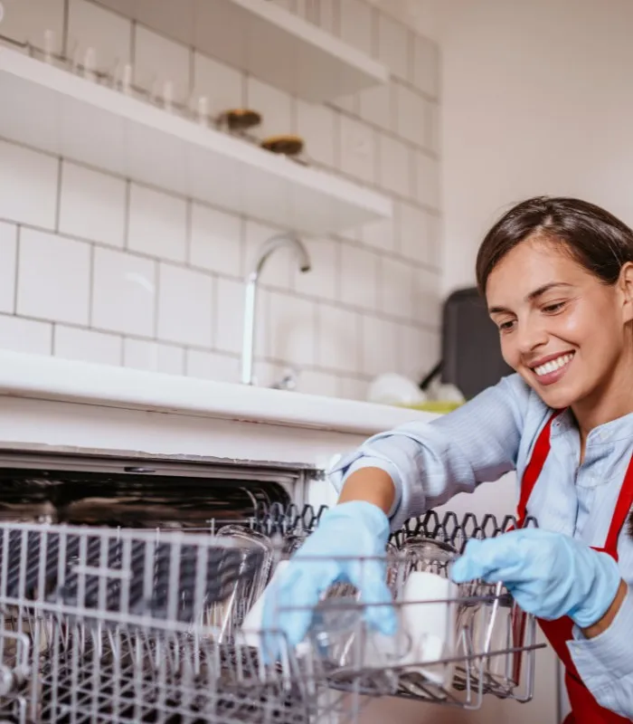 dishwasher maintenance