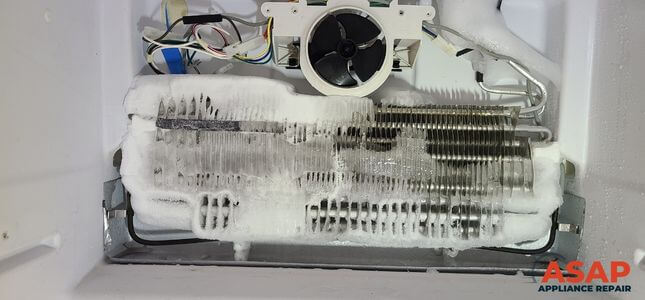 Freezer - repair in Langley Twp
